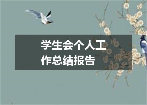 学生会个人工作总结报告