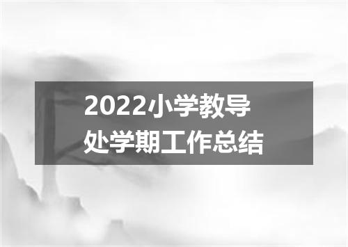 2022小学教导处学期工作总结