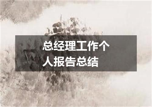总经理工作个人报告总结
