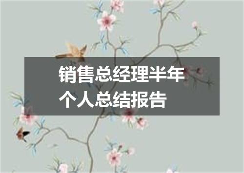 销售总经理半年个人总结报告