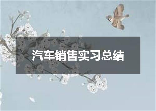 汽车销售实习总结