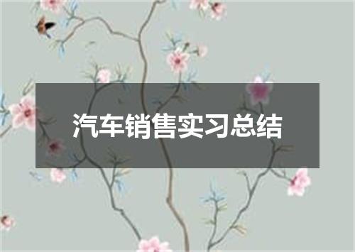 汽车销售实习总结