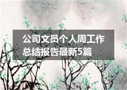 公司文员个人周工作总结报告最新5篇