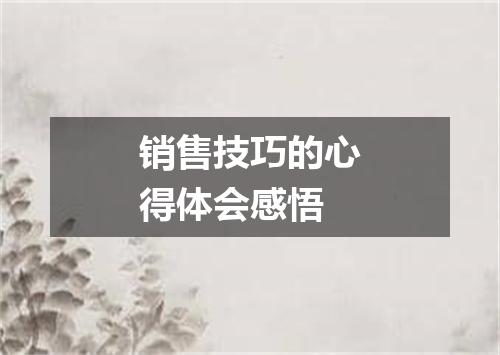 销售技巧的心得体会感悟