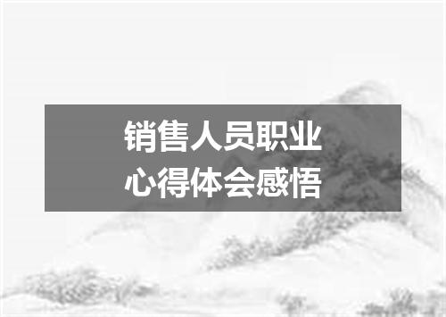 销售人员职业心得体会感悟