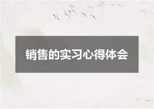 销售的实习心得体会