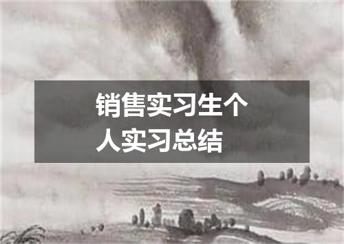 销售实习生个人实习总结