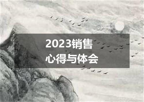 2023销售心得与体会