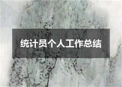 统计员个人工作总结