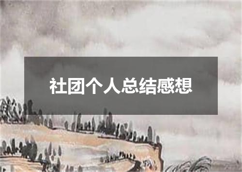 社团个人总结感想