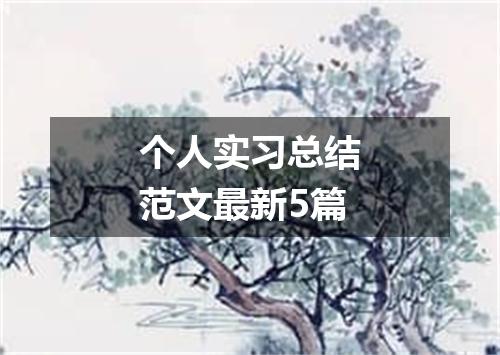 个人实习总结范文最新5篇
