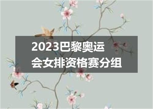 2023巴黎奥运会女排资格赛分组