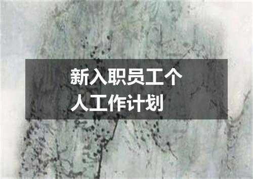 新入职员工个人工作计划