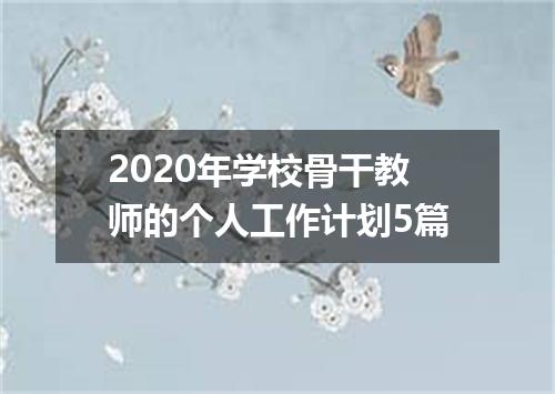 2020年学校骨干教师的个人工作计划5篇