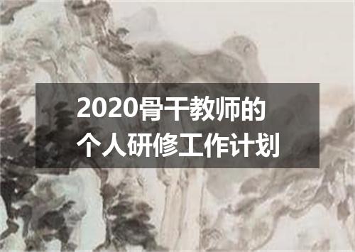 2020骨干教师的个人研修工作计划