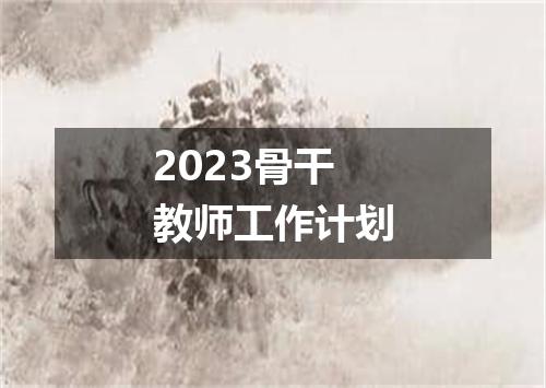 2023骨干教师工作计划