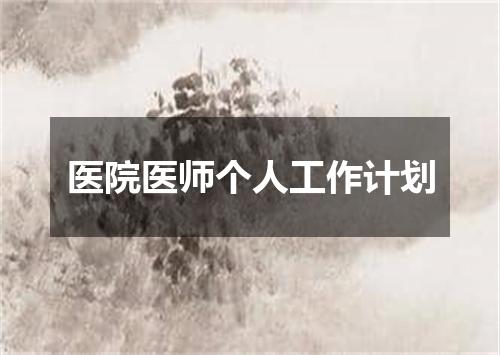 医院医师个人工作计划