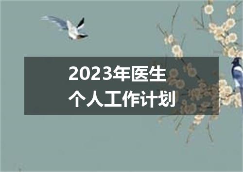 2023年医生个人工作计划