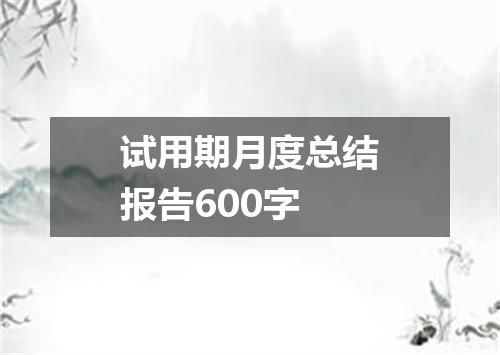 试用期月度总结报告600字