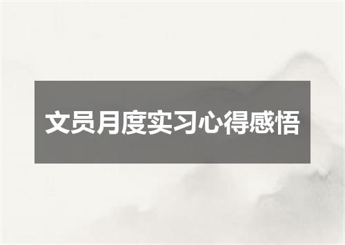 文员月度实习心得感悟