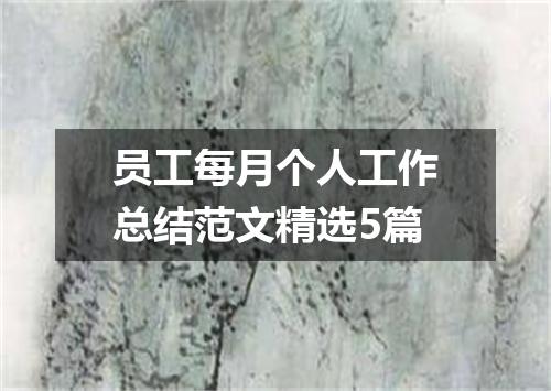 员工每月个人工作总结范文精选5篇