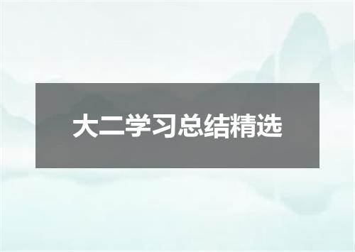 大二学习总结精选