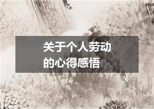 关于个人劳动的心得感悟