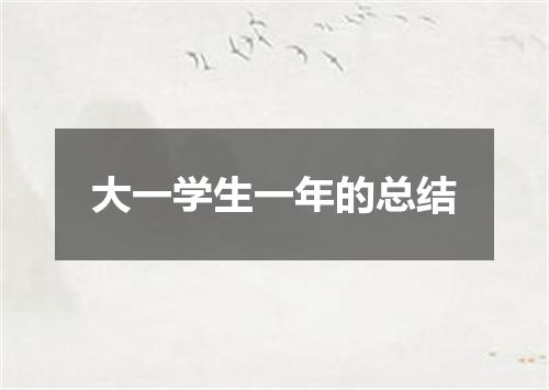大一学生一年的总结