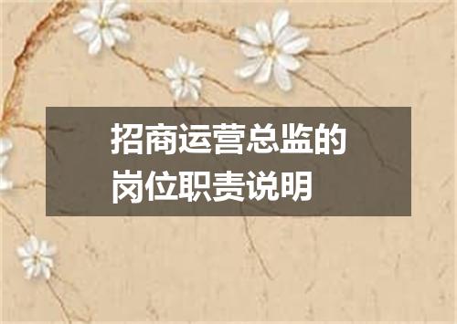 招商运营总监的岗位职责说明