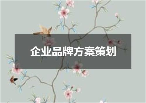 企业品牌方案策划