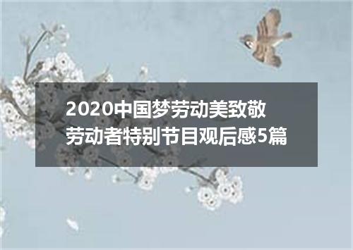 2020中国梦劳动美致敬劳动者特别节目观后感5篇