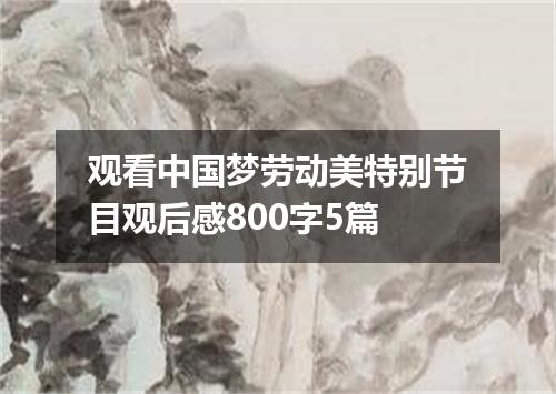观看中国梦劳动美特别节目观后感800字5篇
