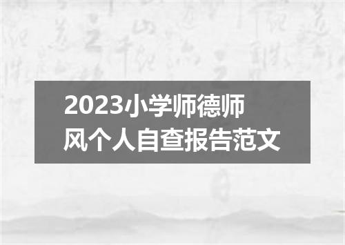 2023小学师德师风个人自查报告范文