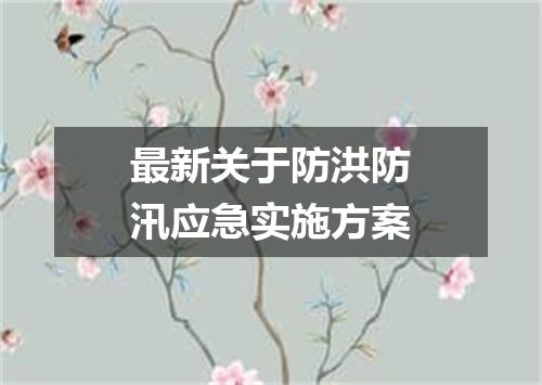 最新关于防洪防汛应急实施方案