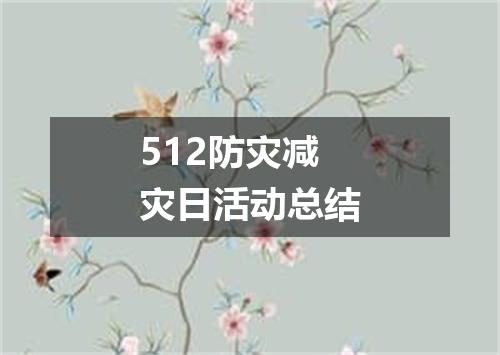 512防灾减灾日活动总结