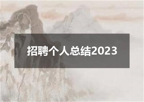 招聘个人总结2023