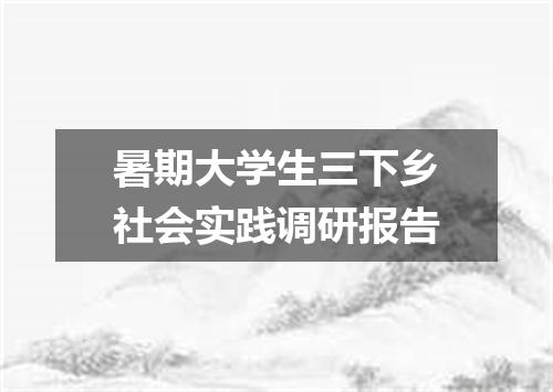 暑期大学生三下乡社会实践调研报告