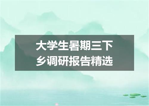 大学生暑期三下乡调研报告精选