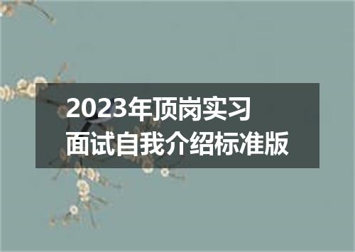 2023年顶岗实习面试自我介绍标准版