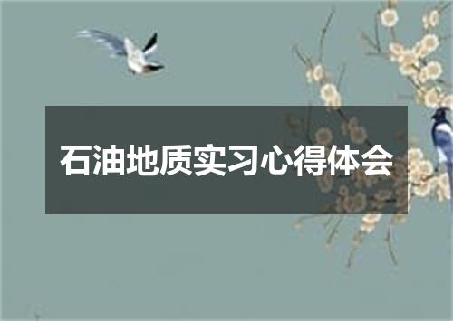 石油地质实习心得体会