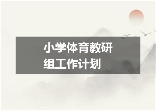 小学体育教研组工作计划
