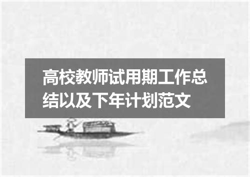 高校教师试用期工作总结以及下年计划范文