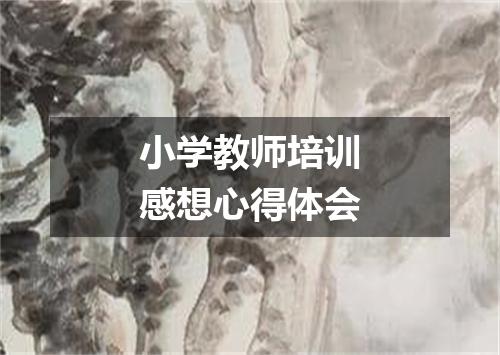 小学教师培训感想心得体会