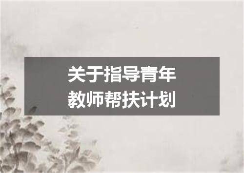 关于指导青年教师帮扶计划