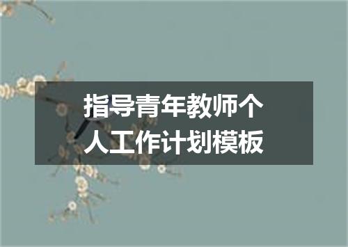 指导青年教师个人工作计划模板