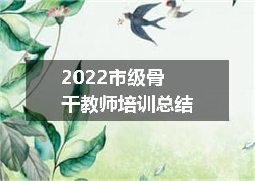2022市级骨干教师培训总结