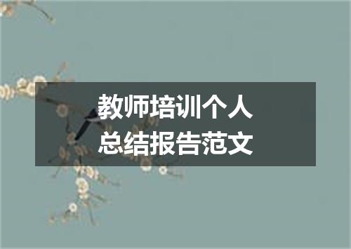 教师培训个人总结报告范文