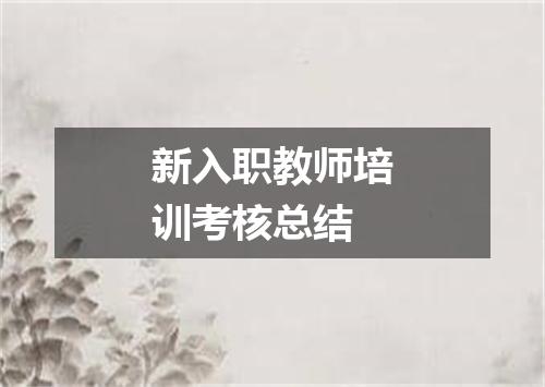 新入职教师培训考核总结