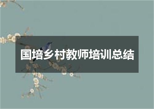 国培乡村教师培训总结
