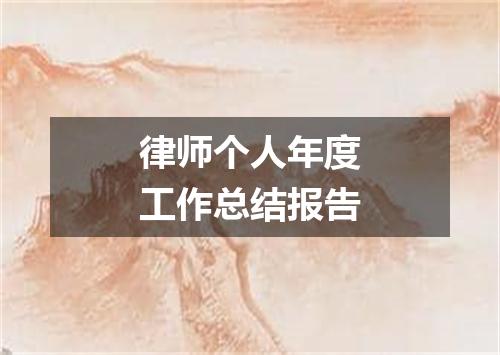 律师个人年度工作总结报告